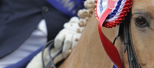 Manage your account and existing bookings image